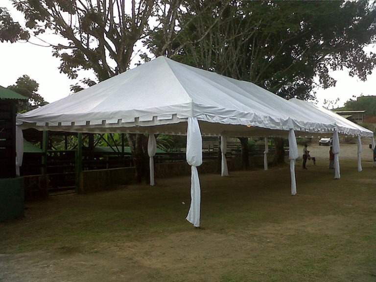 Carpas