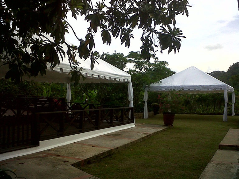 Carpas