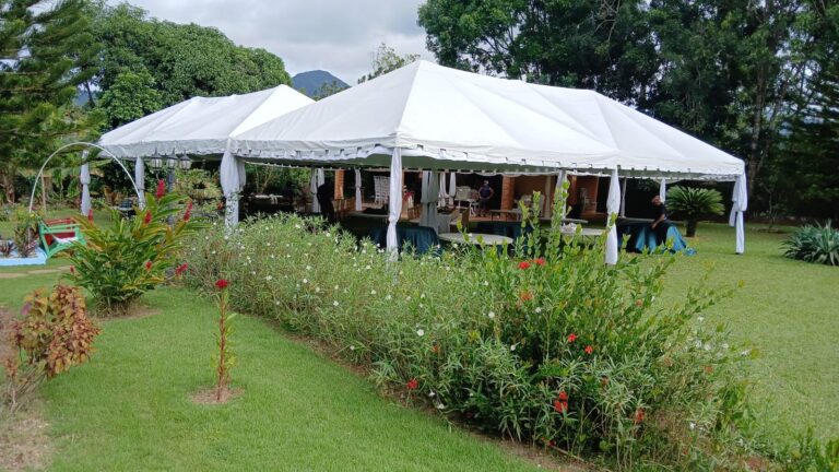 Carpas